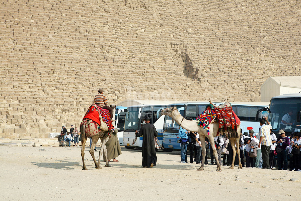 Types Of Tourism In Egypt Trips In Egypt